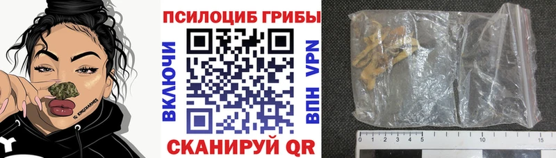 Псилоцибиновые грибы прущие грибы  Купить закладки  Волжск 