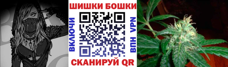 Купить закладки  Волжск  Бошки марихуана сатива 